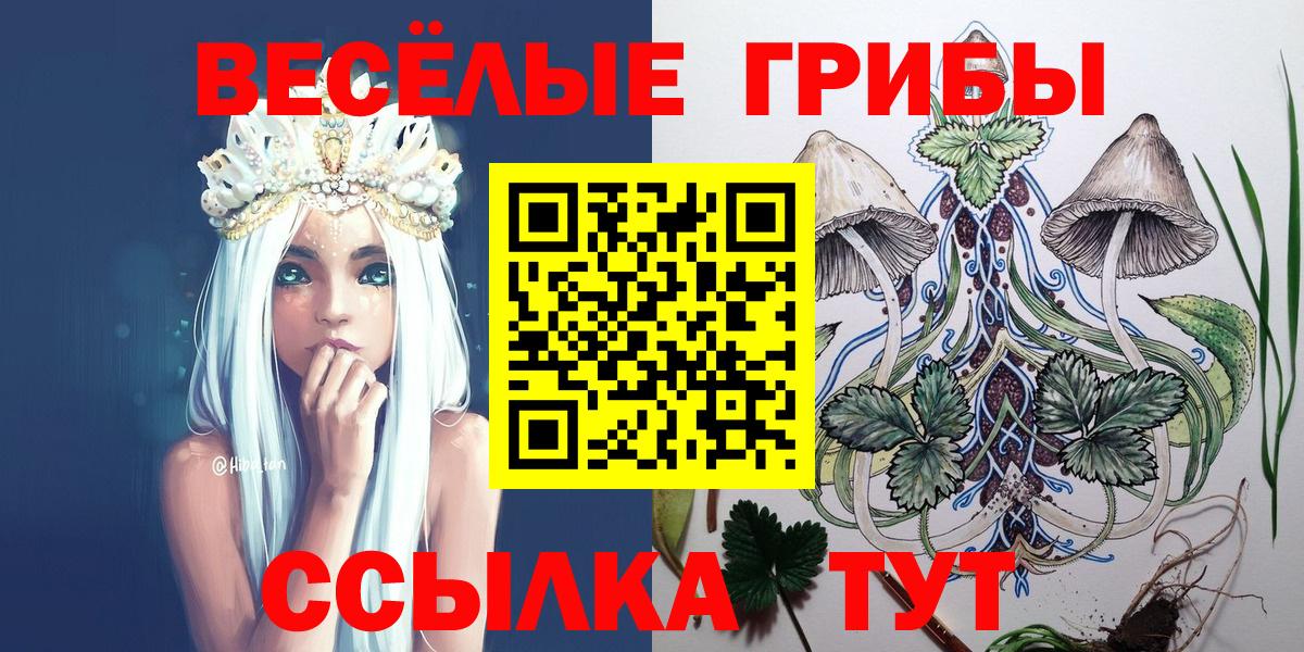 Псилоцибиновые грибы мицелий Димитровград