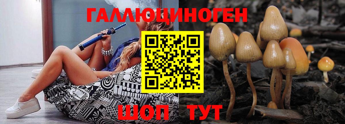 Псилоцибиновые грибы прущие грибы  Вход с VPN  Димитровград 